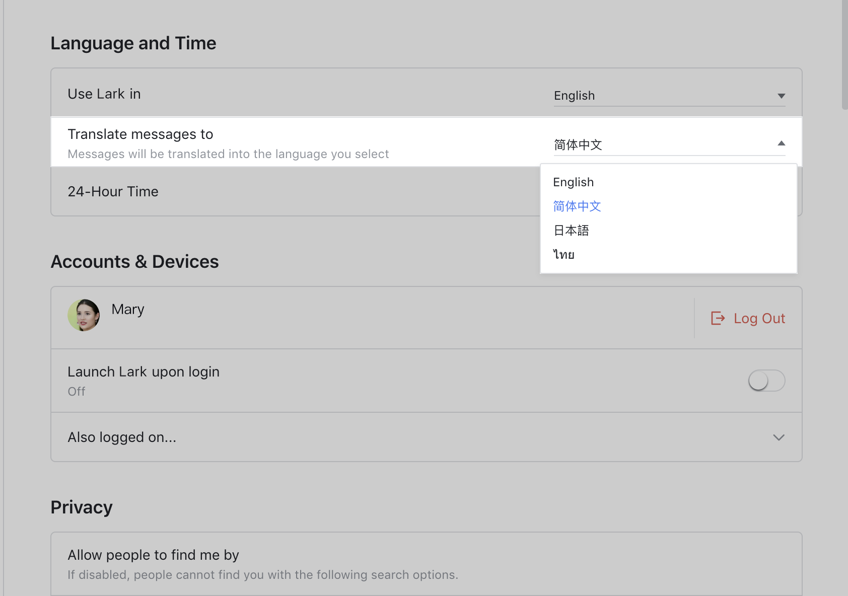 Use The Translation Function In Chats
